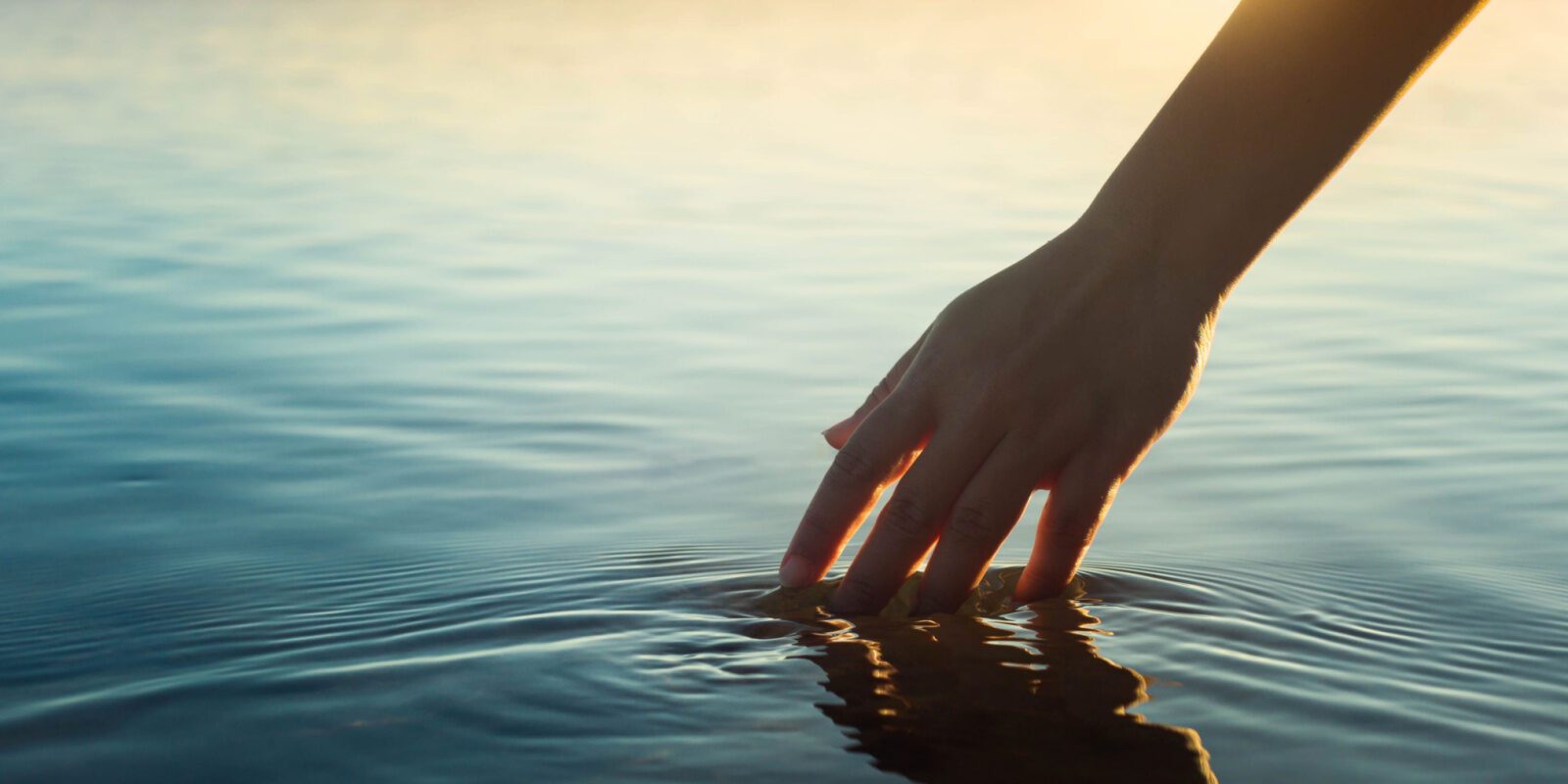 Second opinion en geschillenregeling Rechtsbijstandverzekering